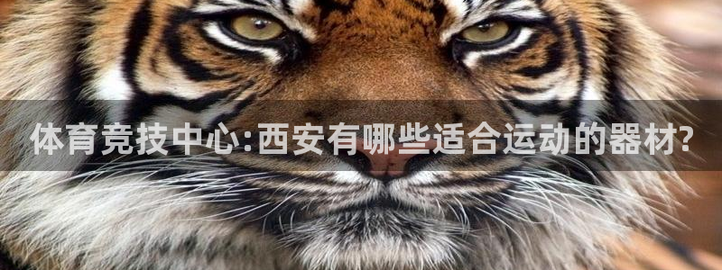 凯捷体育招商电话是多少号码：体育竞技中心:西安有哪些