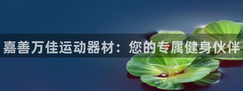 凯捷体育娱乐：嘉善万佳运动器材：您的专属健身伙伴