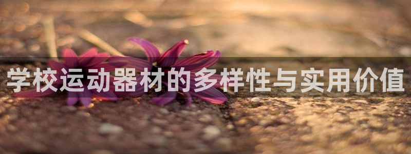 凯捷体育招商：学校运动器材的多样性与实用价值