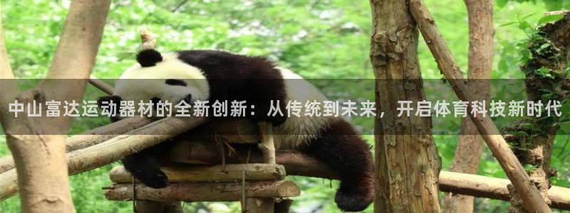 意昂平台体育：中山富达运动器材的全新创新：从传统到未