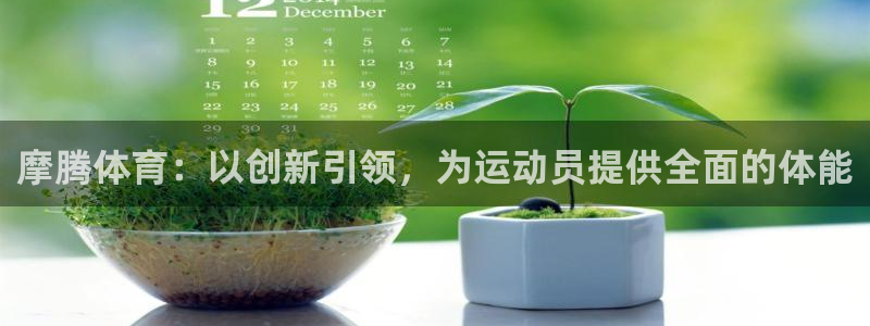凯捷体育科技：摩腾体育：以创新引领，为运动员提供全面