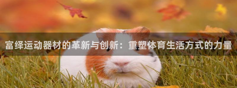 意昂平台体育：富绎运动器材的革新与创新：重塑体育生活