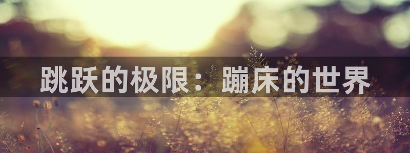 凯捷体育娱乐下载：跳跃的极限：蹦床的世界