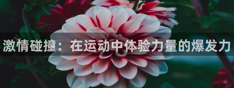 凯捷体育招商电话号码是多少号：激情碰撞：在运动中体验