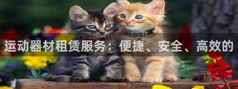 凯捷体育集团官网网址：运动器材租赁服务：便捷、安全、