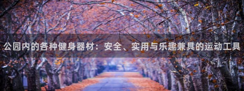 凯捷体育平台注册流程视频：公园内的各种健身器材：安全