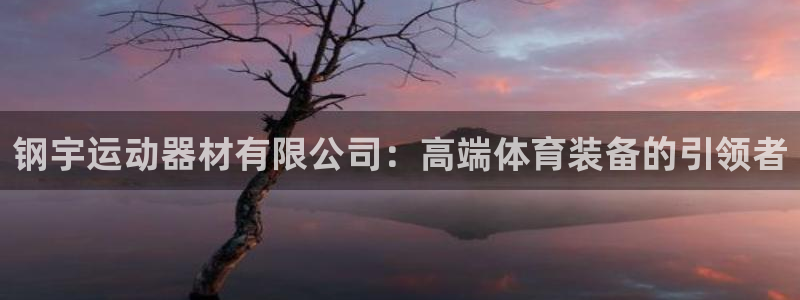 凯捷体育娱乐下载：钢宇运动器材有限公司：高端体育装备