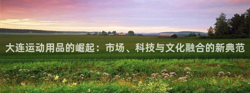 凯捷体育集团简介：大连运动用品的崛起：市场、科技与文