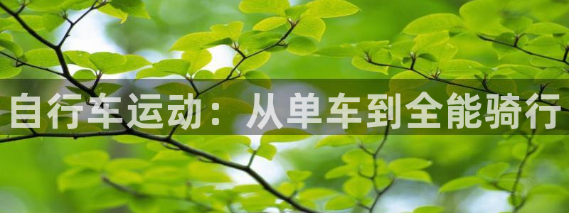 凯捷体育集团官网网址：自行车运动：从单车到全能骑行