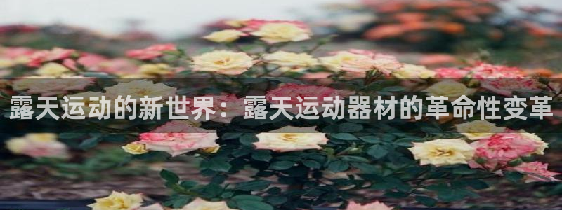 注册凯捷体育：露天运动的新世界：露天运动器材的革命性