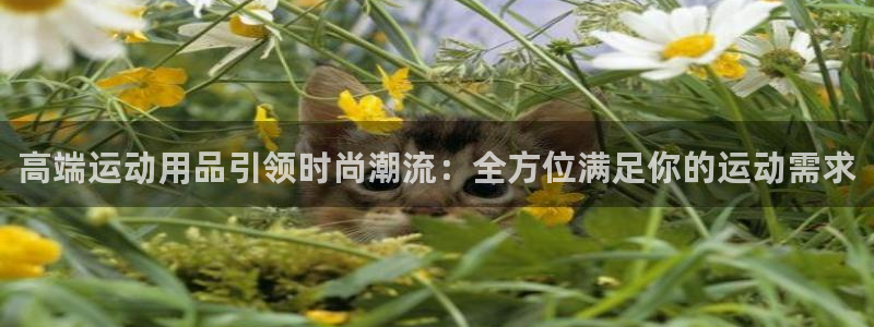 凯捷体育：高端运动用品引领时尚潮流：全方位满足你的运
