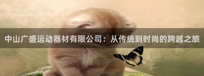 凯捷体育娱乐下载：中山广盛运动器材有限公司：从传统到