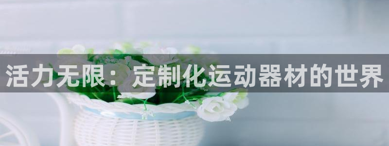 凯捷体育科技：活力无限：定制化运动器材的世界