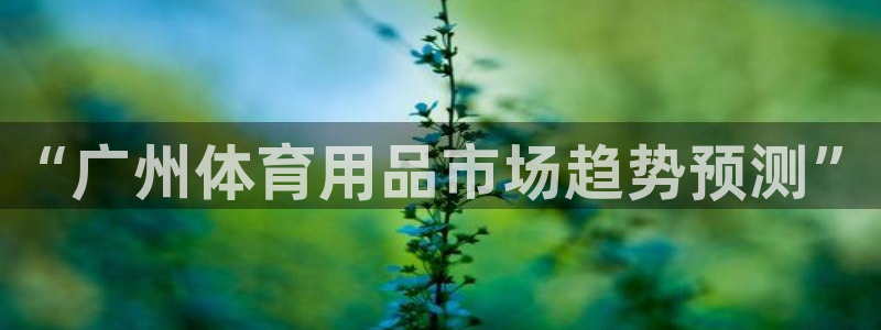 注册凯捷体育：“广州体育用品市场趋势预测”