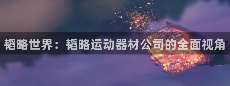 凯捷体育娱乐：韬略世界：韬略运动器材公司的全面视角