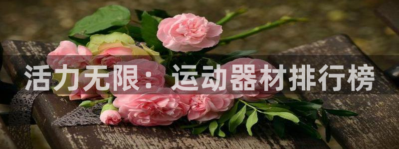 注册凯捷体育：活力无限：运动器材排行榜