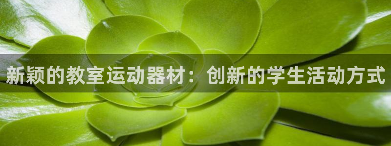 凯捷体育娱乐下载：新颖的教室运动器材：创新的学生活动