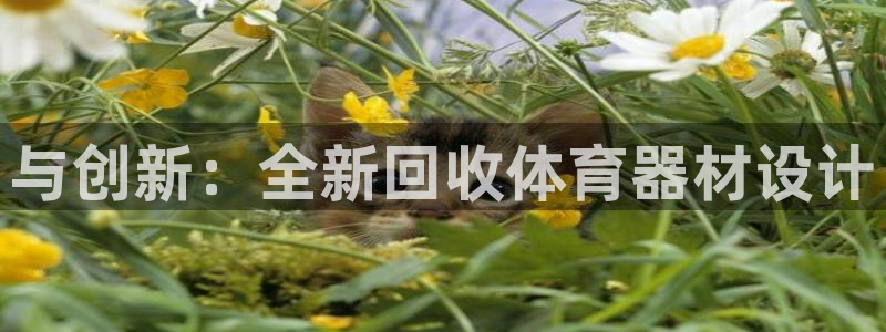 凯捷体育招商电话号码是多少