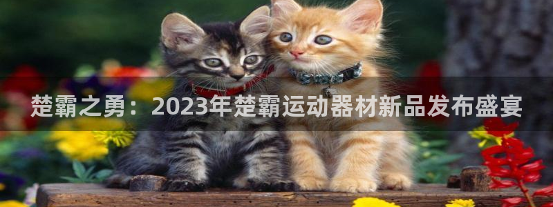 凯捷体育平台假的吗是真的吗吗