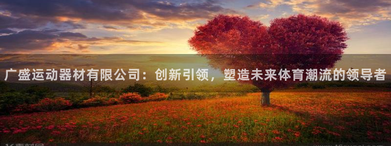 凯捷体育平台注册流程视频：广盛运动器材有限公司：创新引领，塑