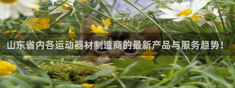 凯捷体育代理：山东省内各运动器材制造商的最新产品与服务趋势！