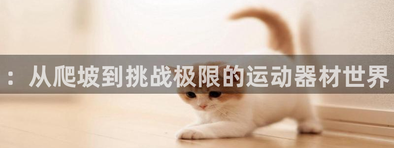 凯捷体育平台注册要钱吗安全吗：：从爬坡到挑战极限的运动器材世