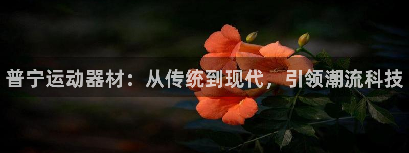凯捷体育平台APP：普宁运动器材：从传统到现代，引领潮流科技