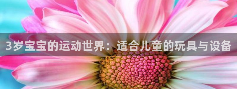 意昂平台体育：3岁宝宝的运动世界：适合儿童的玩具与设