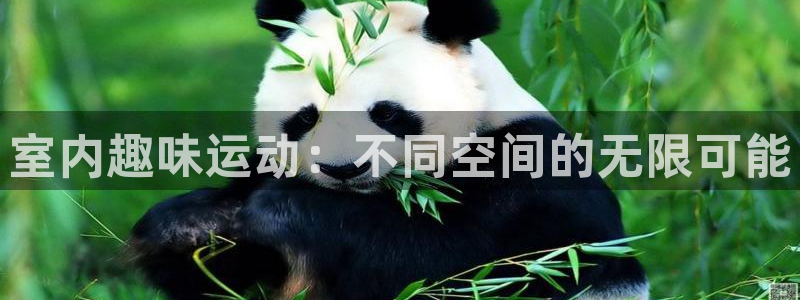 凯捷体育平台注册：室内趣味运动：不同空间的无限可能