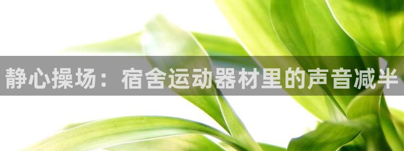 海南凯捷体育发展怎么样：静心操场：宿舍运动器材里的声