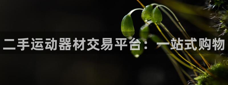 凯捷体育开户：二手运动器材交易平台：一站式购物