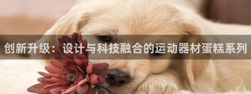 凯捷体育集团简介：创新升级：设计与科技融合的运动器材蛋糕系列