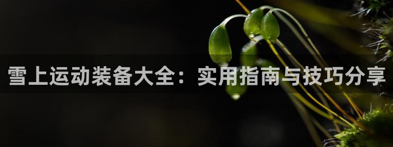 凯捷体育招商电话号码：雪上运动装备大全：实用指南与技巧分享
