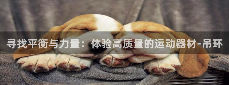 凯捷体育集团官网首页：寻找平衡与力量：体验高质量的运