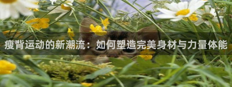 凯捷体育娱乐首页官网下载：瘦背运动的新潮流：如何塑造