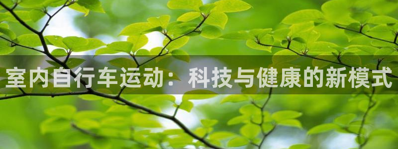 凯捷体育平台APP：室内自行车运动：科技与健康的新模