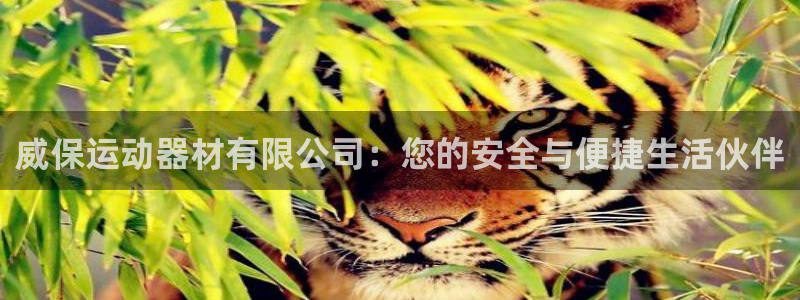 凯捷体育软件：威保运动器材有限公司：您的安全与便捷生