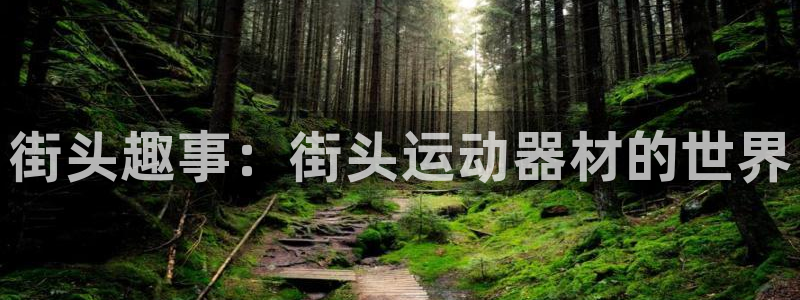 凯捷体育集团：街头趣事：街头运动器材的世界