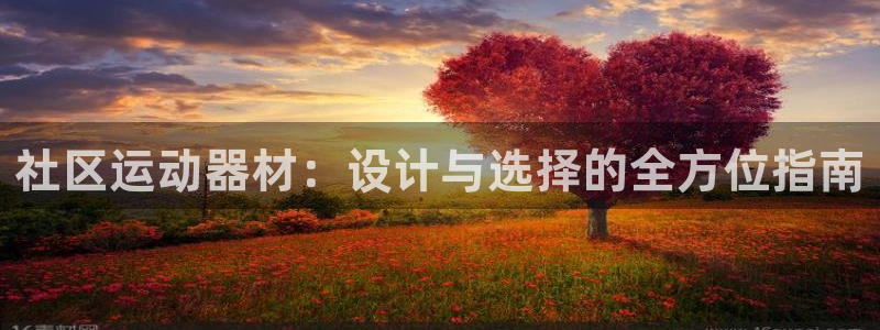 凯捷体育平台注册：社区运动器材：设计与选择的全方位指