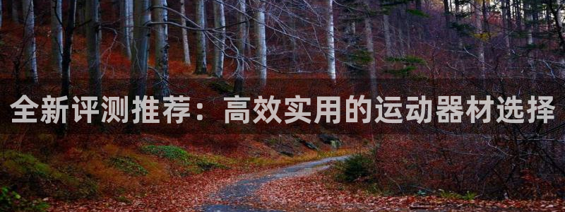 海南凯捷体育：全新评测推荐：高效实用的运动器材选择