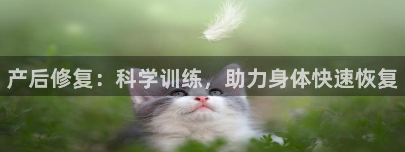凯捷体育开户：产后修复：科学训练，助力身体快速恢复