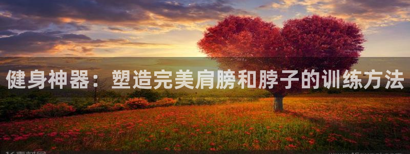 凯捷体育平台注册流程图：健身神器：塑造完美肩膀和脖子的训练方