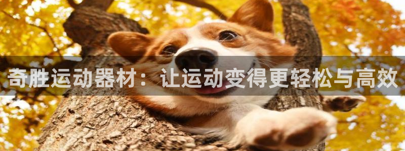 德国凯捷体育集团：奇胜运动器材：让运动变得更轻松与高效