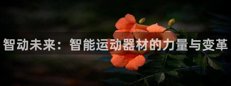 凯捷体育集团官网网址：智动未来：智能运动器材的力量与