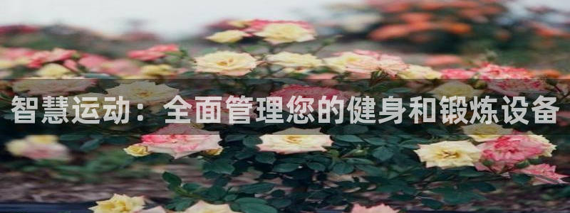 凯捷体育娱乐网站：智慧运动：全面管理您的健身和锻炼设