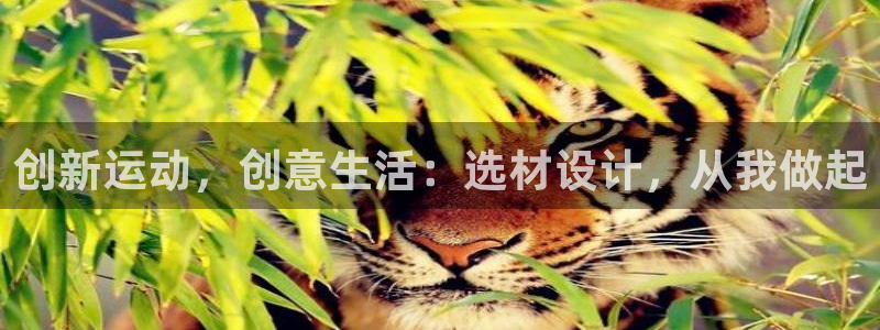 凯捷体育招商电话地址是多少：创新运动，创意生活：选材