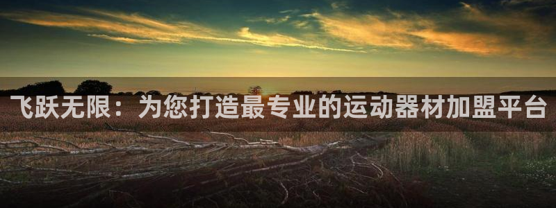 凯捷体育开户：飞跃无限：为您打造最专业的运动器材加盟平台