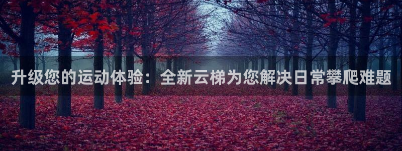 凯捷体育集团官网首页网址