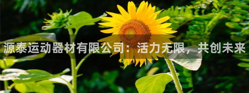 凯捷体育娱乐：源泰运动器材有限公司：活力无限，共创未来