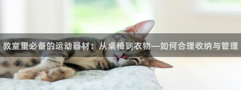 凯捷体育娱乐首页官网下载：教室里必备的运动器材：从桌椅到衣物